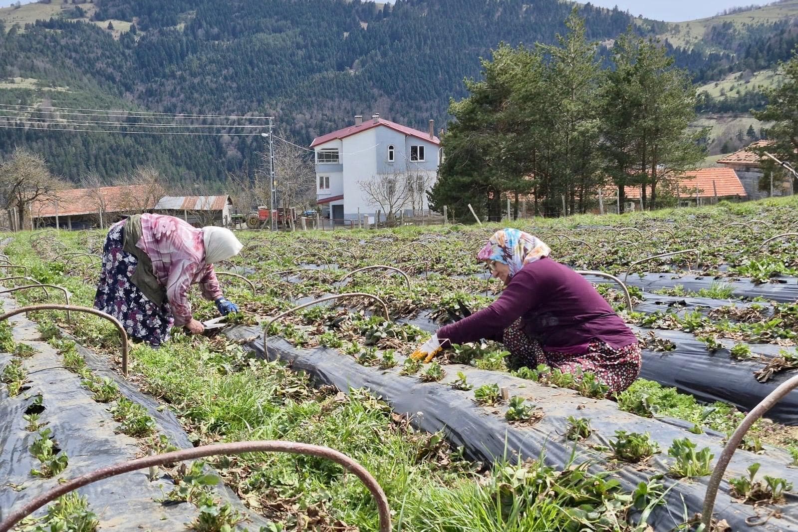 BÜYÜKŞEHİR DESTEKLİYOR, SAMSUN ÜRETİYOR - Görsel 9