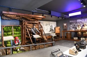 Samsun’da müzelere yoğun ilgi - Görsel 4