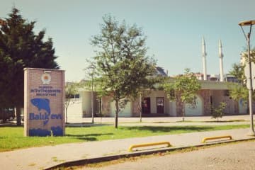 Balık Evi