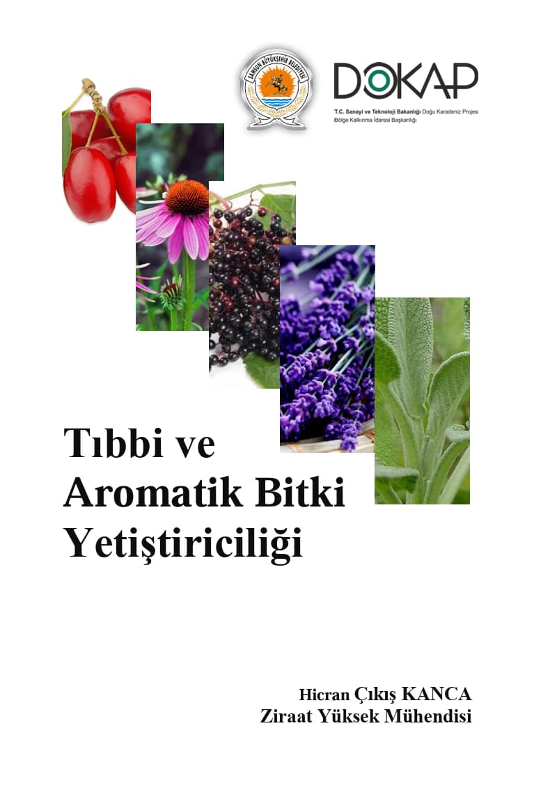 Kitaplar 3