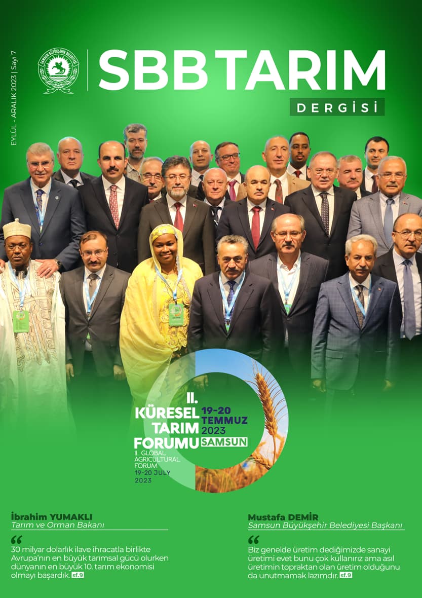 Dergiler 7