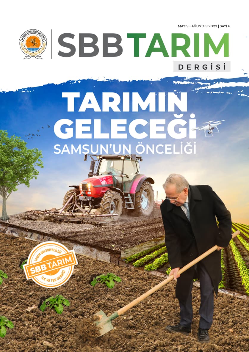Dergiler 8