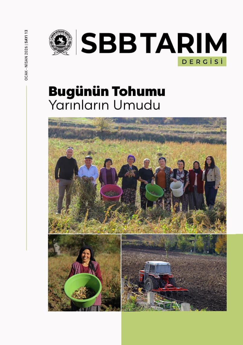Bugünün Tohumu Yarınların Umudu Sayı 13