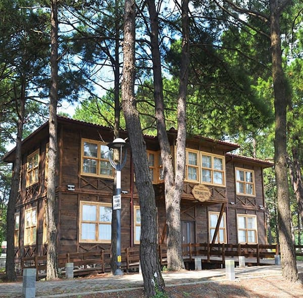 Terme Miliç Tesisleri