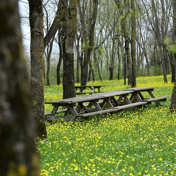 Sarıgazel Tabiat Parkı - 2