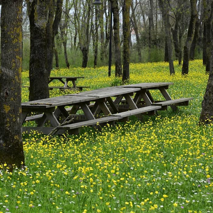 Sarıgazel Tabiat Parkı - 3