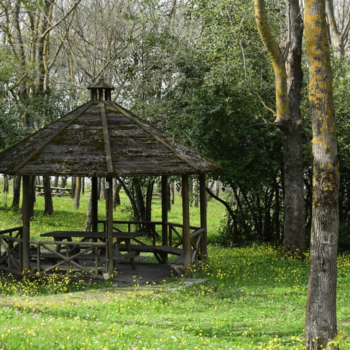 Sarıgazel Tabiat Parkı - 5