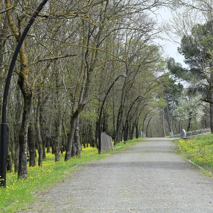 Sarıgazel Tabiat Parkı - 6