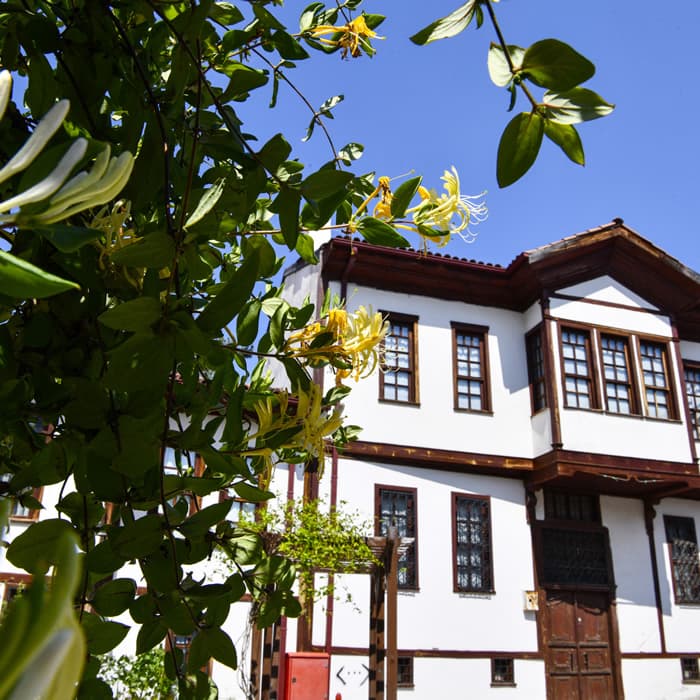 Vezirköprü Evleri - 1