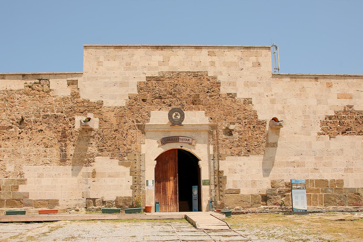 Kavak