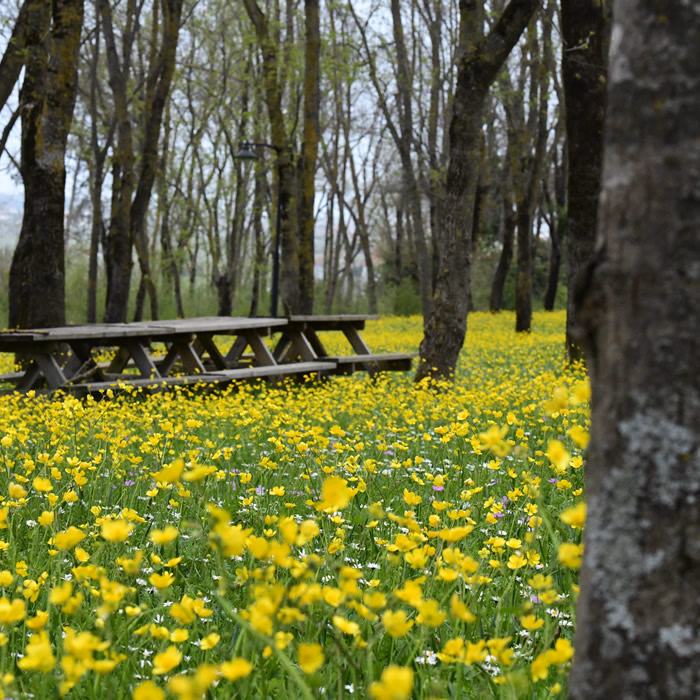Sarıgazel Tabiat Parkı