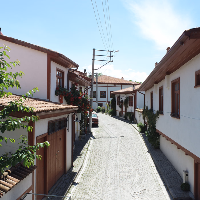 Vezirköprü Evleri