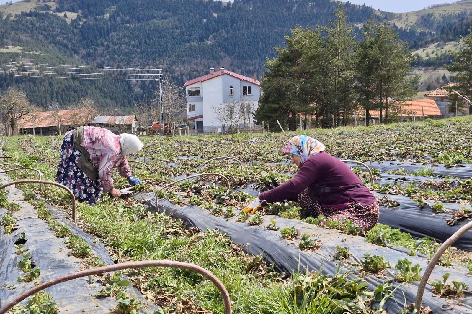 BÜYÜKŞEHİR DESTEKLİYOR, SAMSUN ÜRETİYOR - Görsel 9
