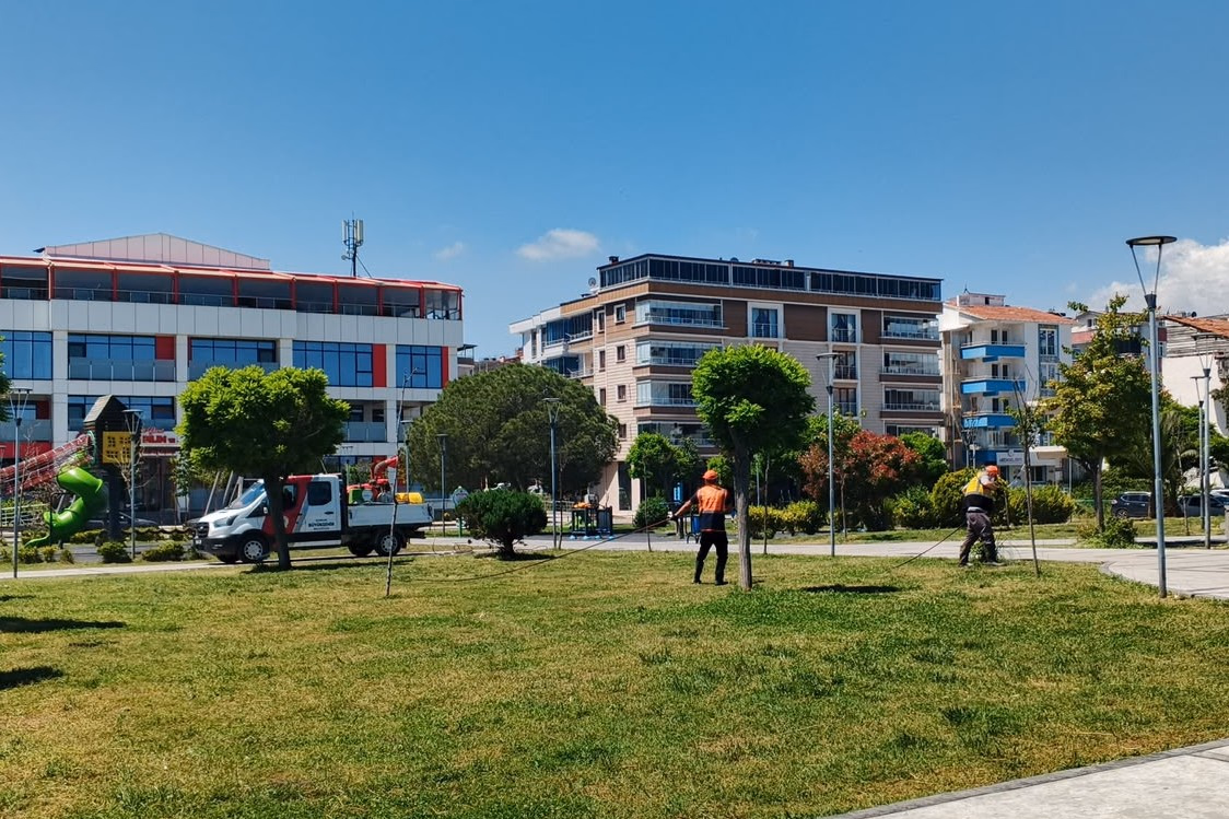 ŞEHİR GENELİNDE VEKTÖRLERLE MÜCADELE  - Görsel 1