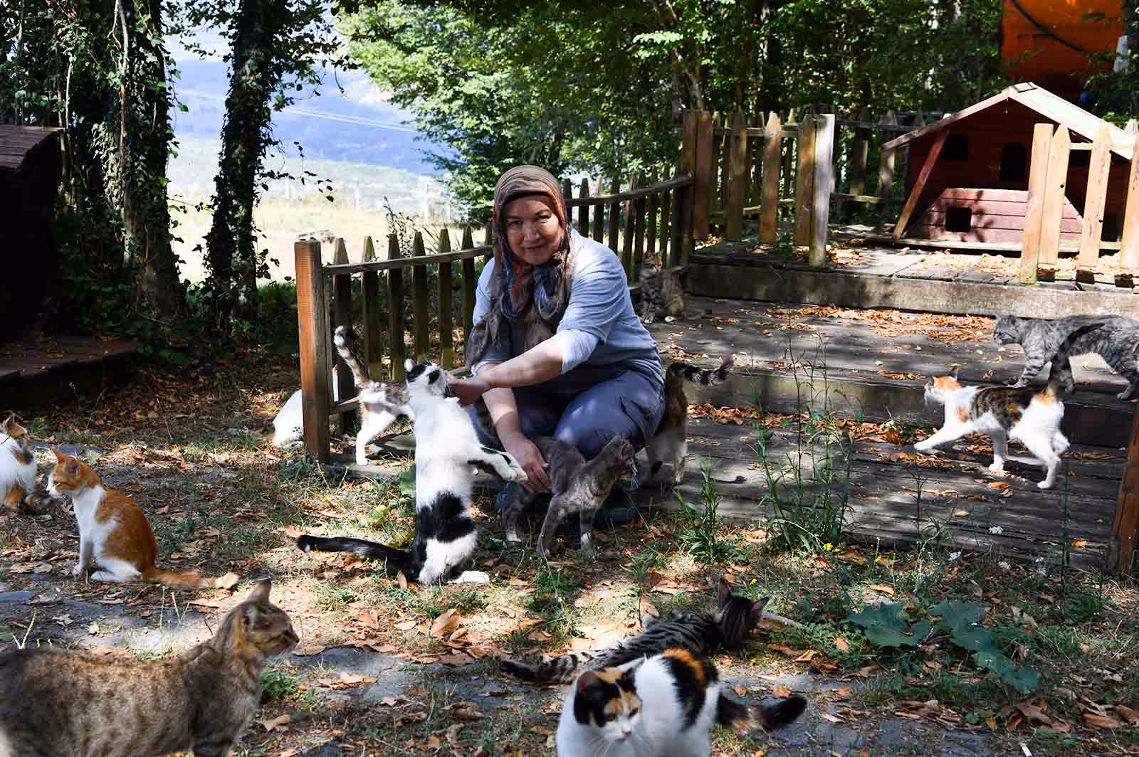 Can Dostlarımızın Yanındayız - Görsel 1